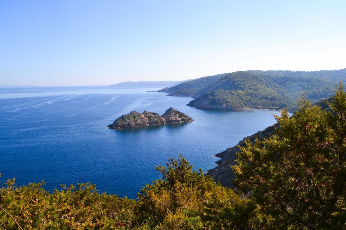 Tour de l'île de Port-Cros et découverte de sa flore - Hyères