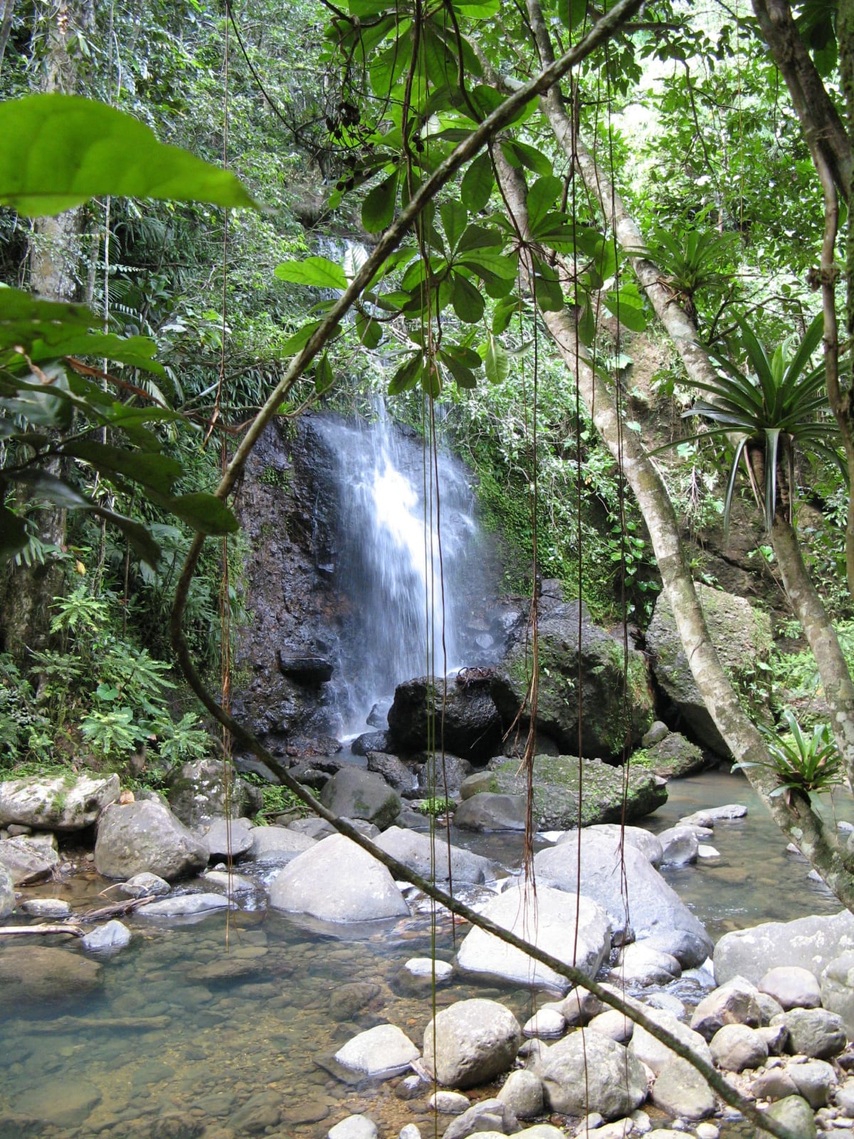 Sofaïa et écouter l'eau chanter au saut des Trois Cornes - Sainte-Rose