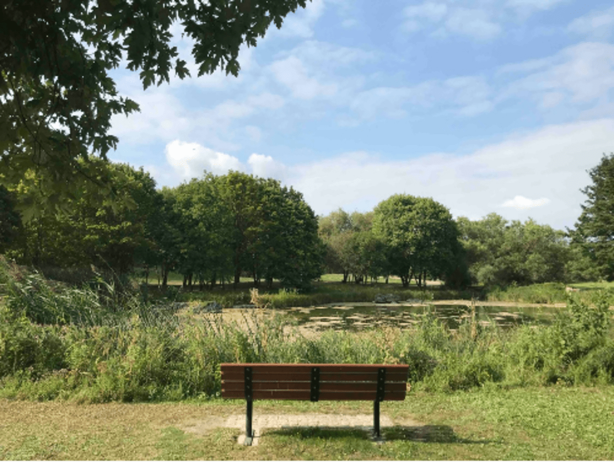 La Courneuve et sortie cool et verte au parc Georges-Valbon - La Courneuve