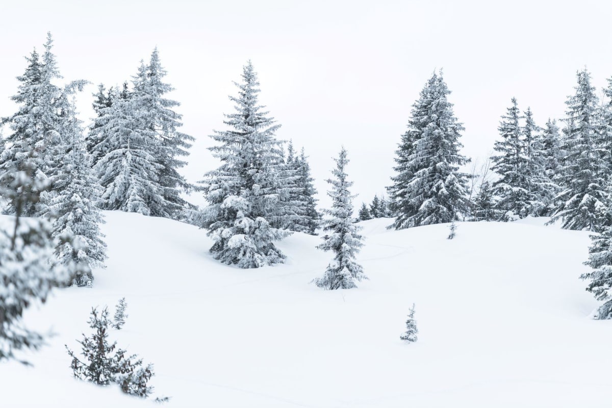 Boucle de Porcherey et charme hivernal - Saint-Gervais-les-Bains