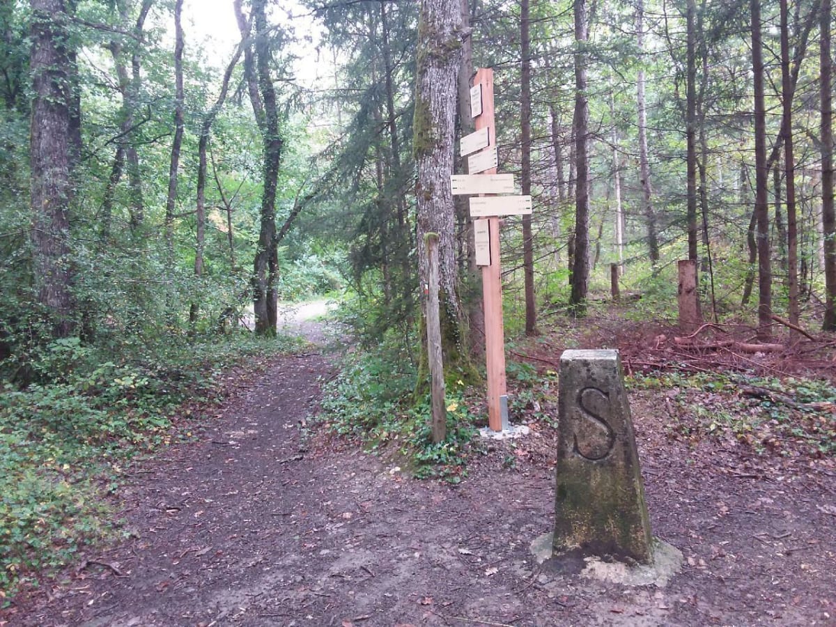 Sur le sentier des Douanes - Valleiry