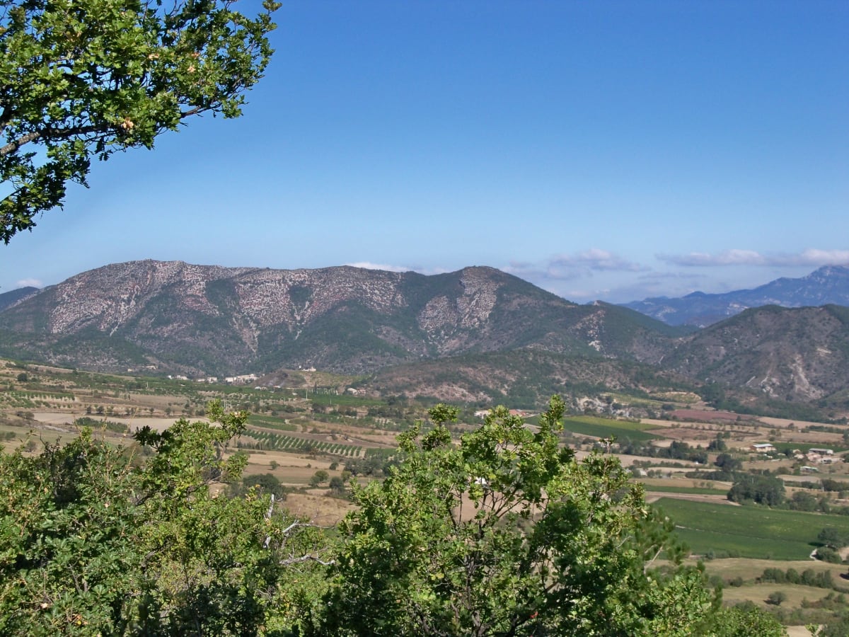 Du col d'Ey à la montagne du Linceul par la Fournache - Buis-les-Baronnies