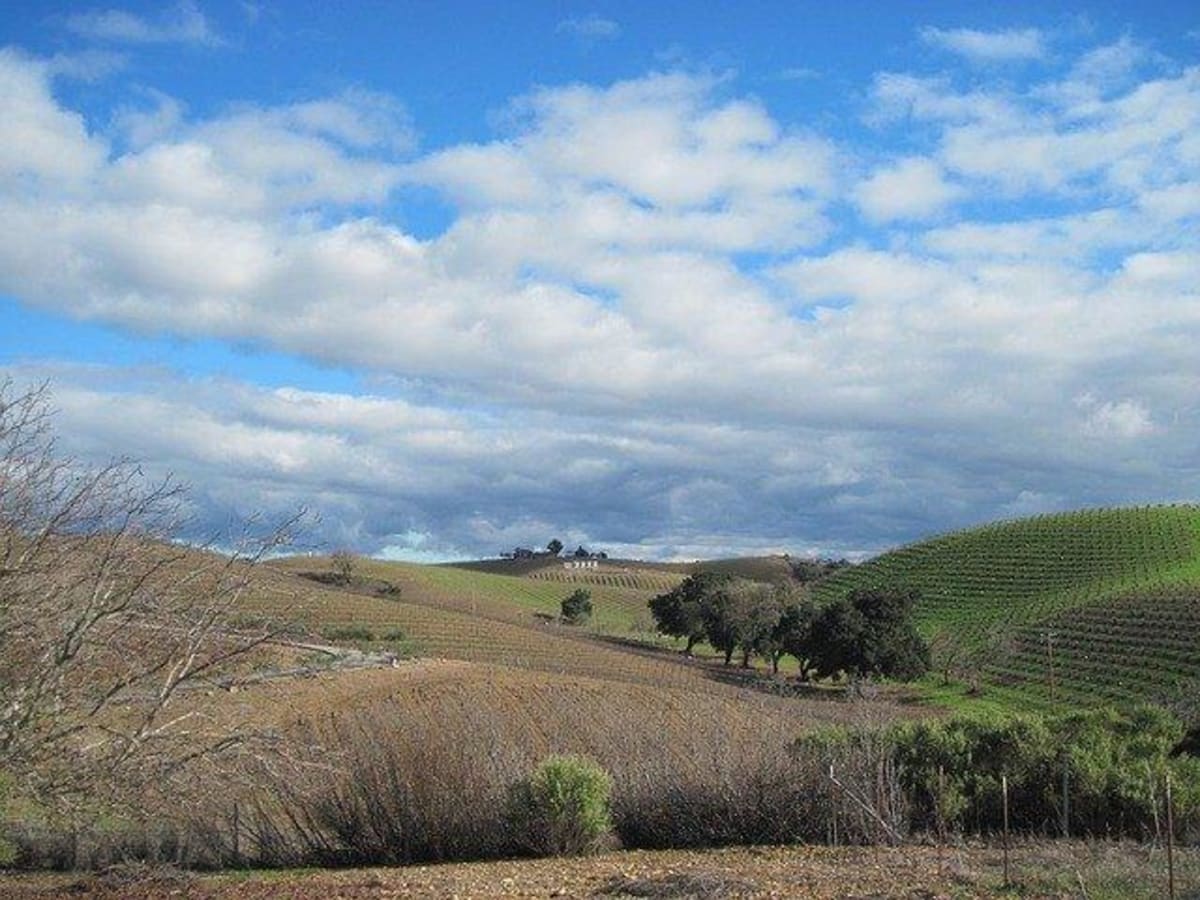 Escapade en VTC dans les vignes depuis Nuelles - Saint-Germain-Nuelles