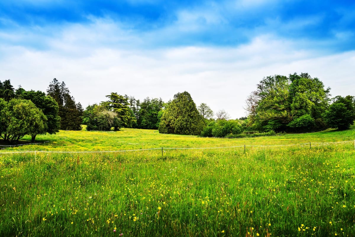 Comme un Bel-Air de balade à pied - Taussac