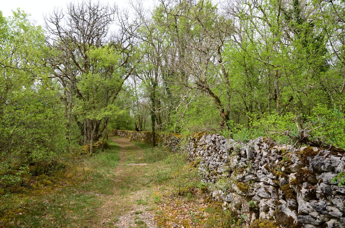 Le Causse à un vol d'abeille - Montamel