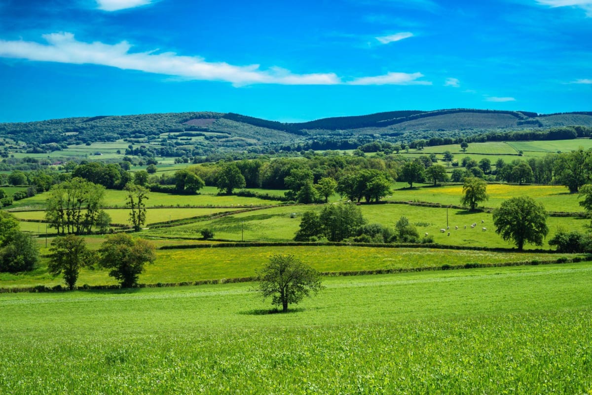 Petites montagnes mais grands paysages - La Grande-Verrière