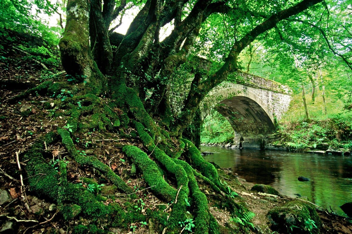 Sur les terres du Thil - Aisy-sous-Thil