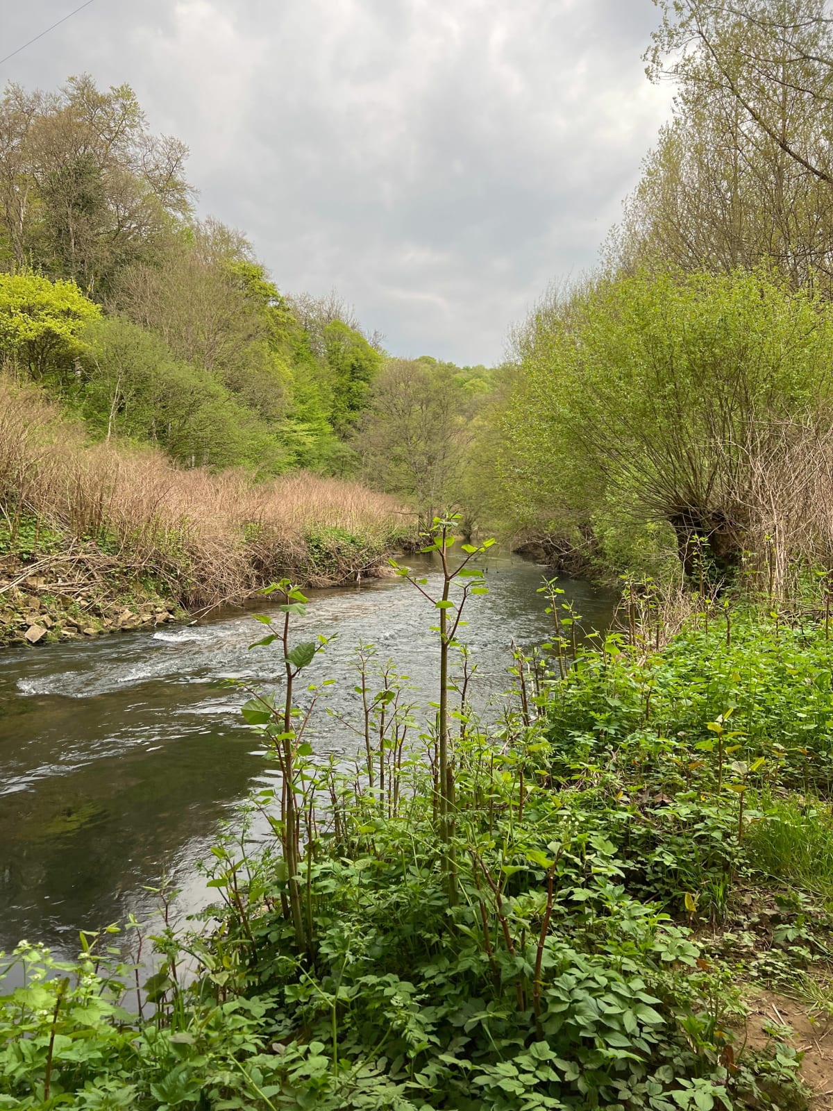 Sortie Vallonnée au Bois de Lexy - Frédéric