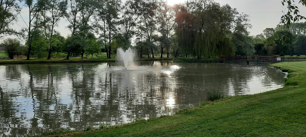 Vernou en Sologne - Vernou-en-Sologne