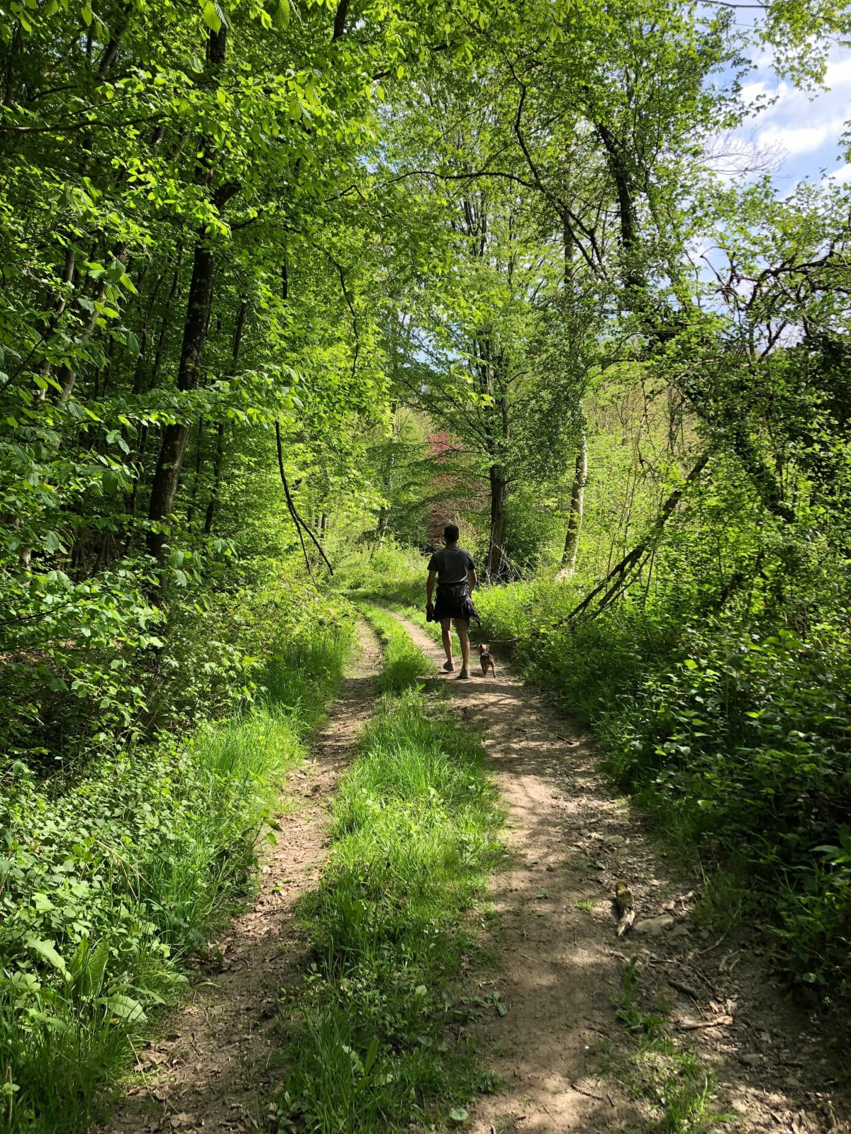 Circuit du bois de Groez par Libotte - Nelly