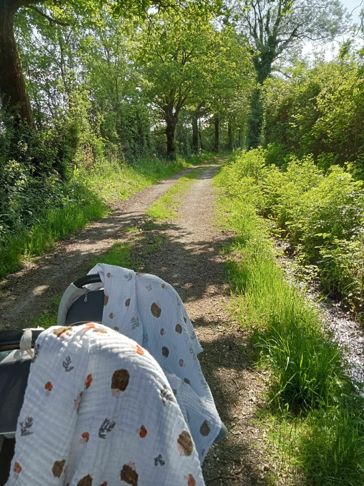 Petit tour à poussette à la Moutillère - La Roche-sur-Yon