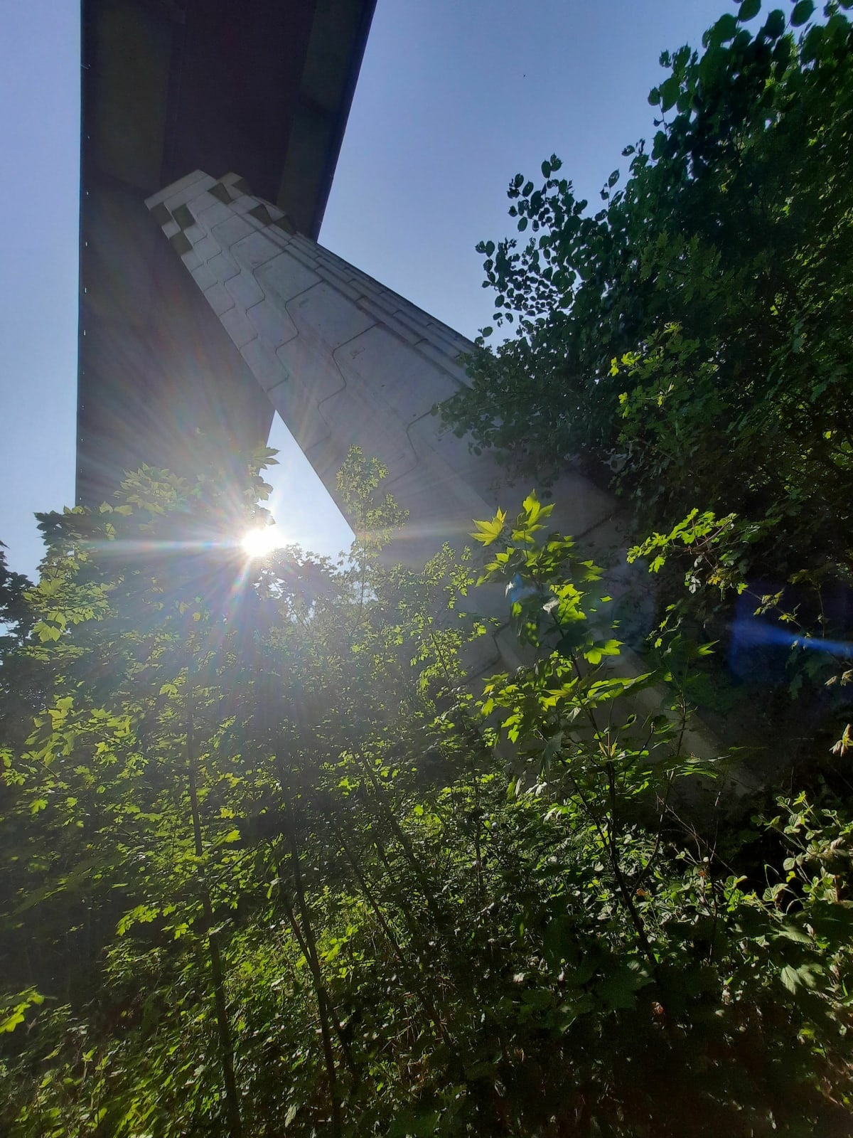 Urban jungle Longwy - Longwy