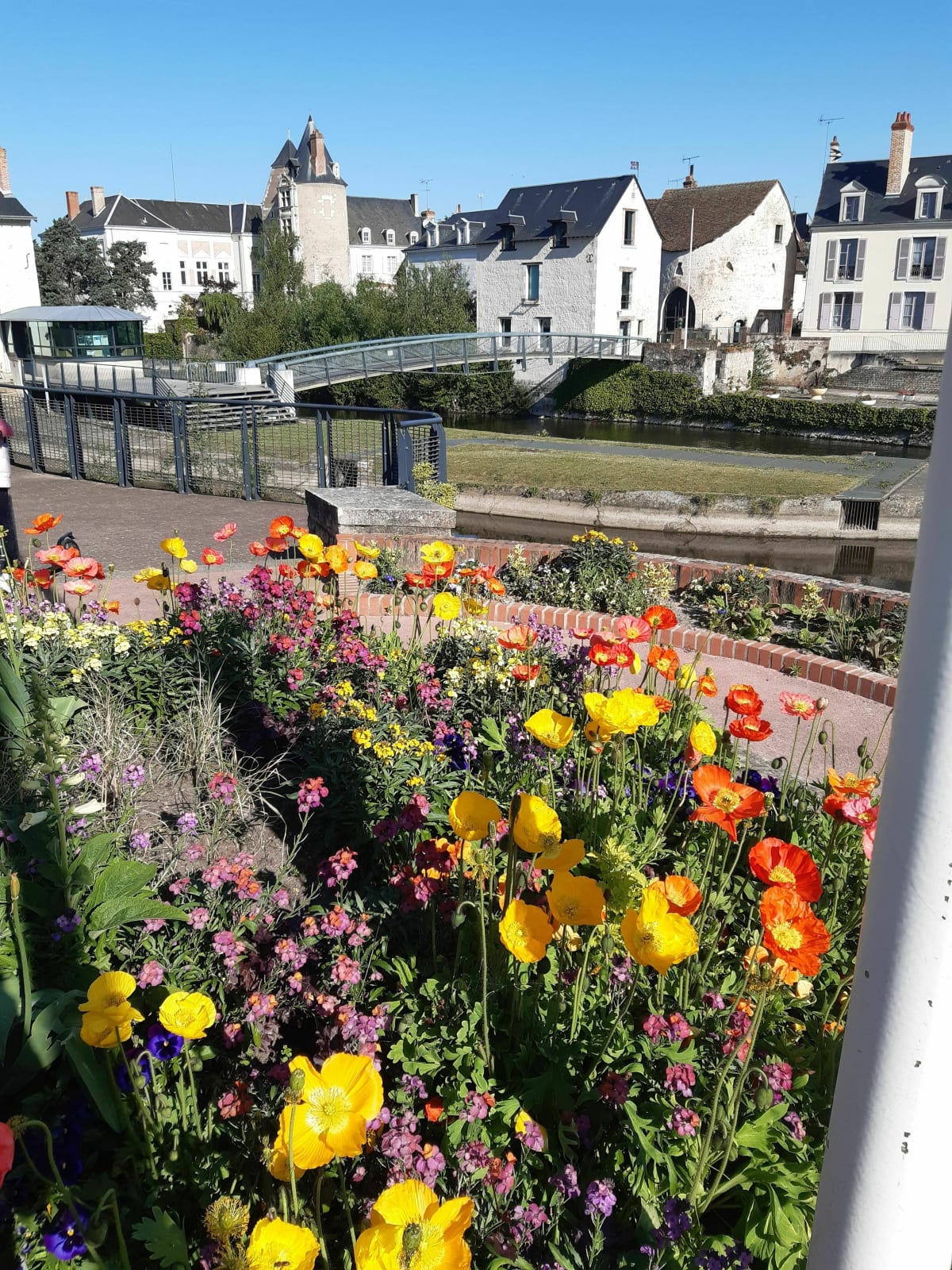 Balade pittoresque dans Romorantin - Delphine