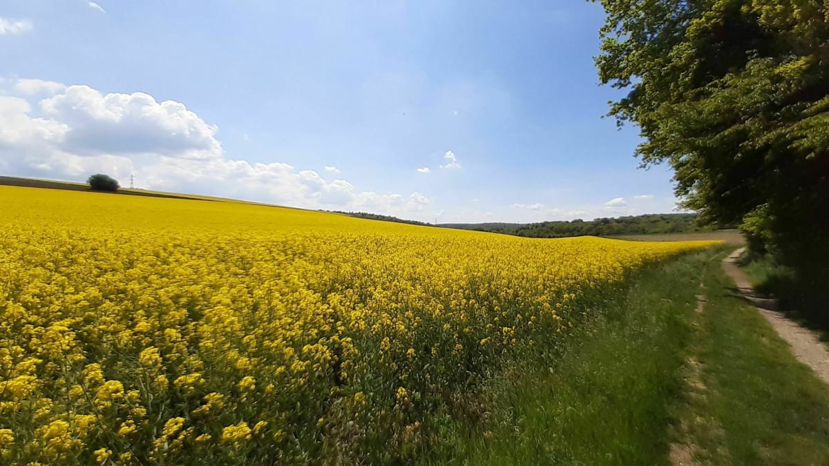 De Boillat à la Citadelle par les bornes - Montbéliard
