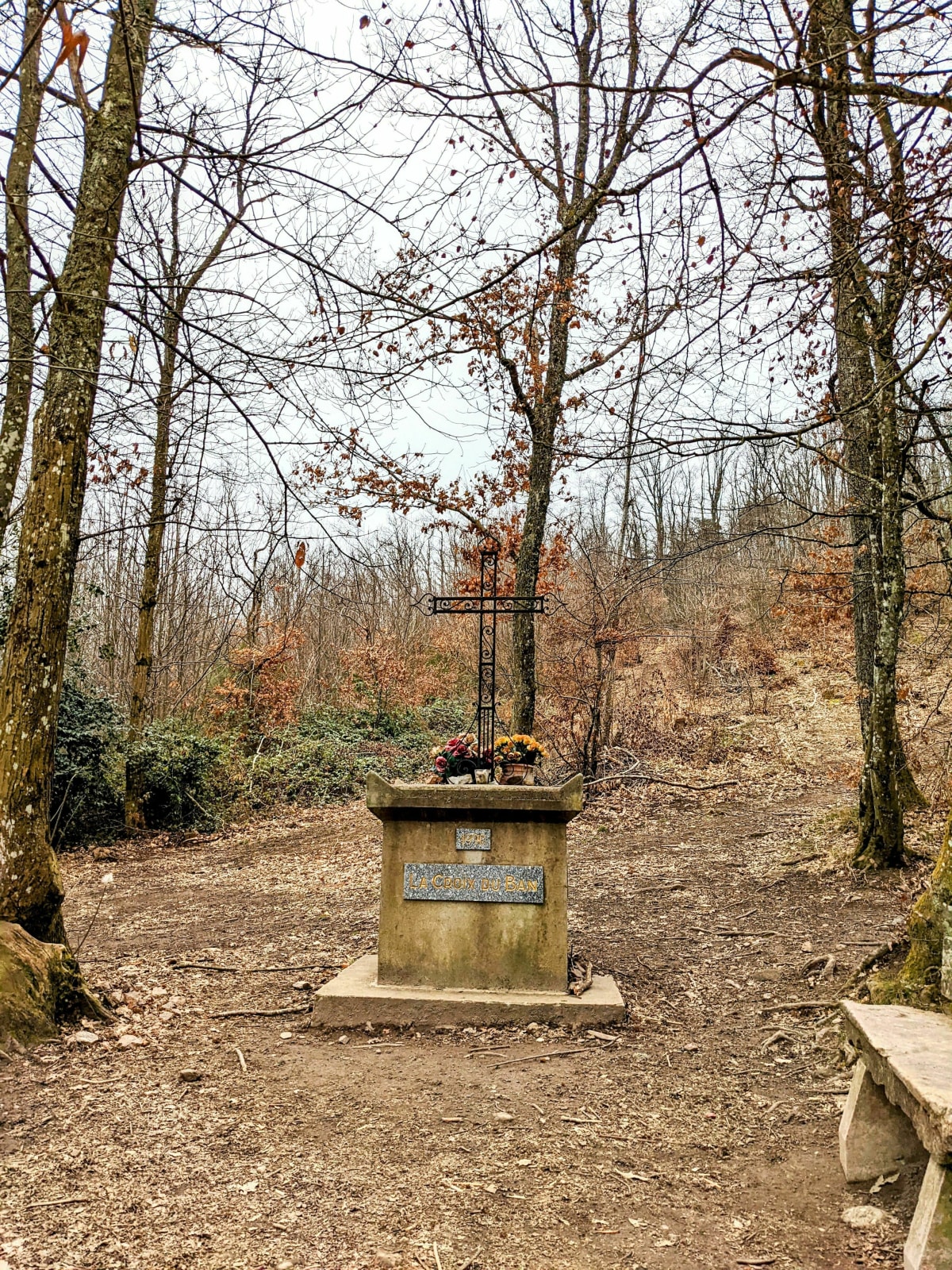 Les Cols de la Luère et de la Croix du Ban - Courzieu
