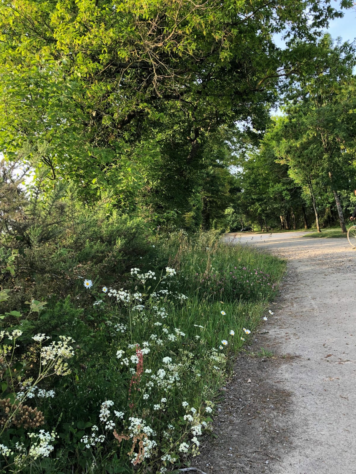 Balade à vélo dans les petits villages Mouilleronais - Mouilleron