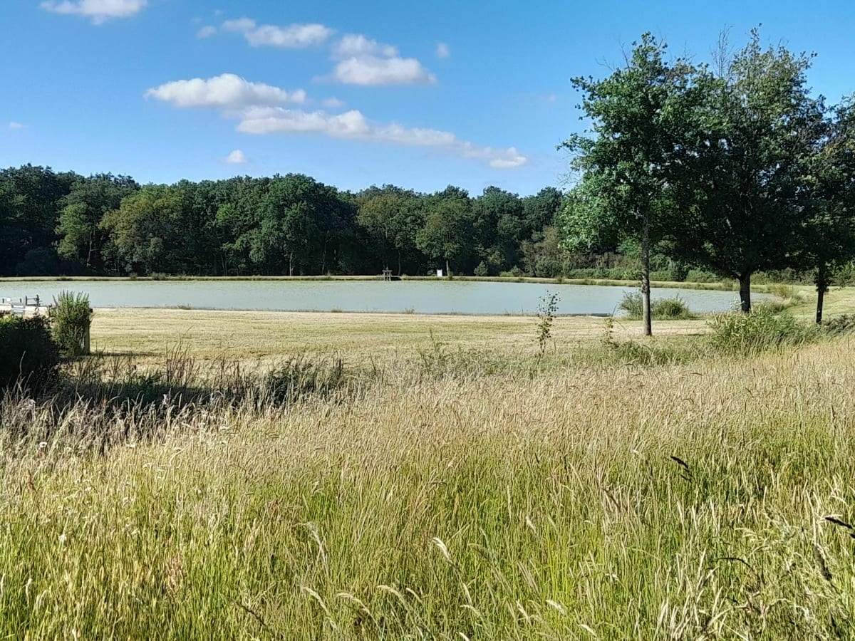Randonnée Fontaines-en-Sologne avec des enfants en bas âges - Fontaines-en-Sologne
