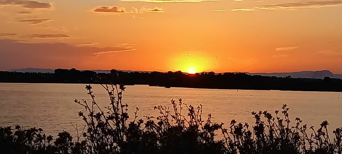Balade à Aigues-Mortes et son Etang de la Marette - Aigues-Mortes