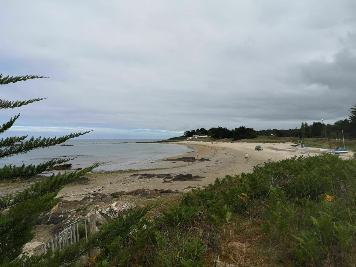 Le petit sente des Marais - L'Île-d'Yeu