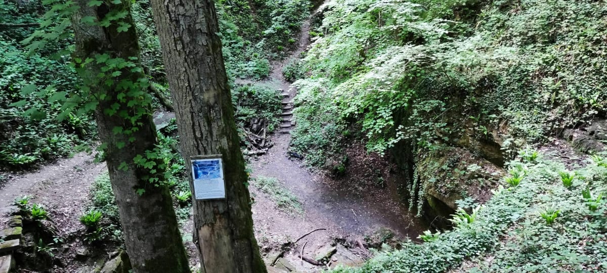 Boucle VTT les Dolines, grotte des Sarrazins - Saint-Dizier