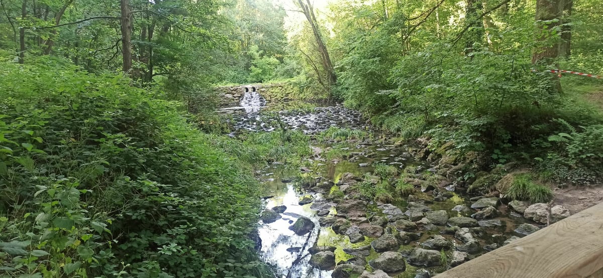 Sortie sous bois et champs - Maurepas