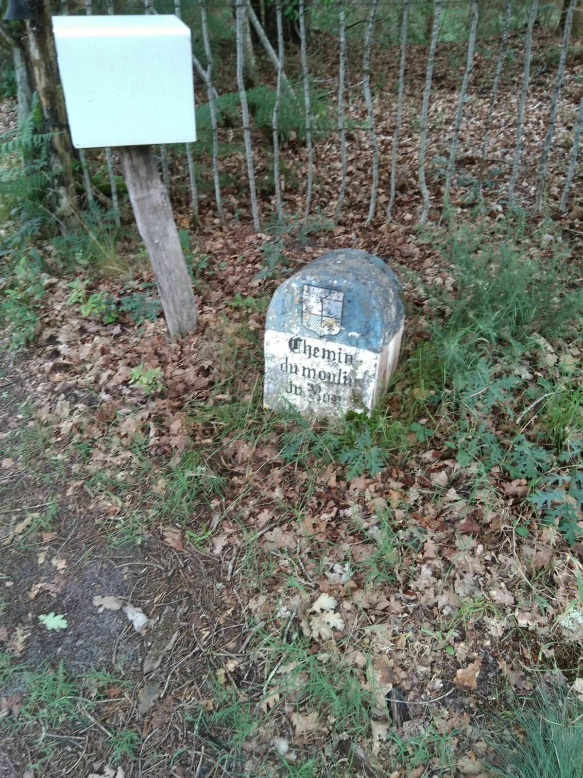 Au départ du lotissement Jeanne d'Albret II, via les airials - Labrit