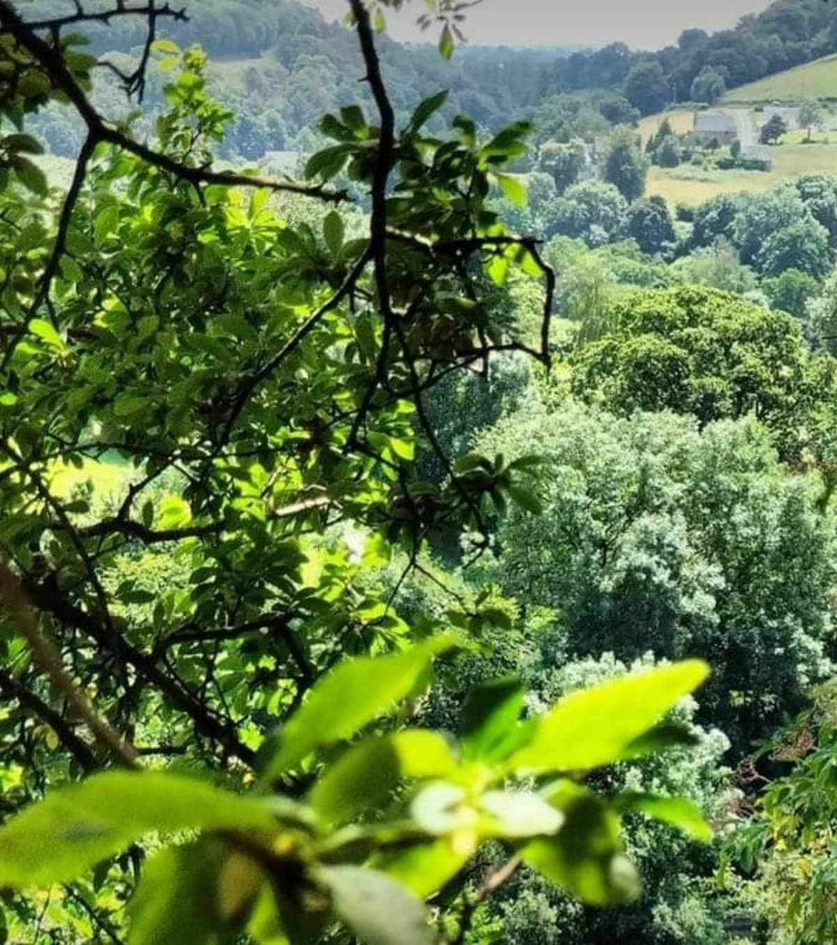 Superbe ! - Souleuvre en Bocage