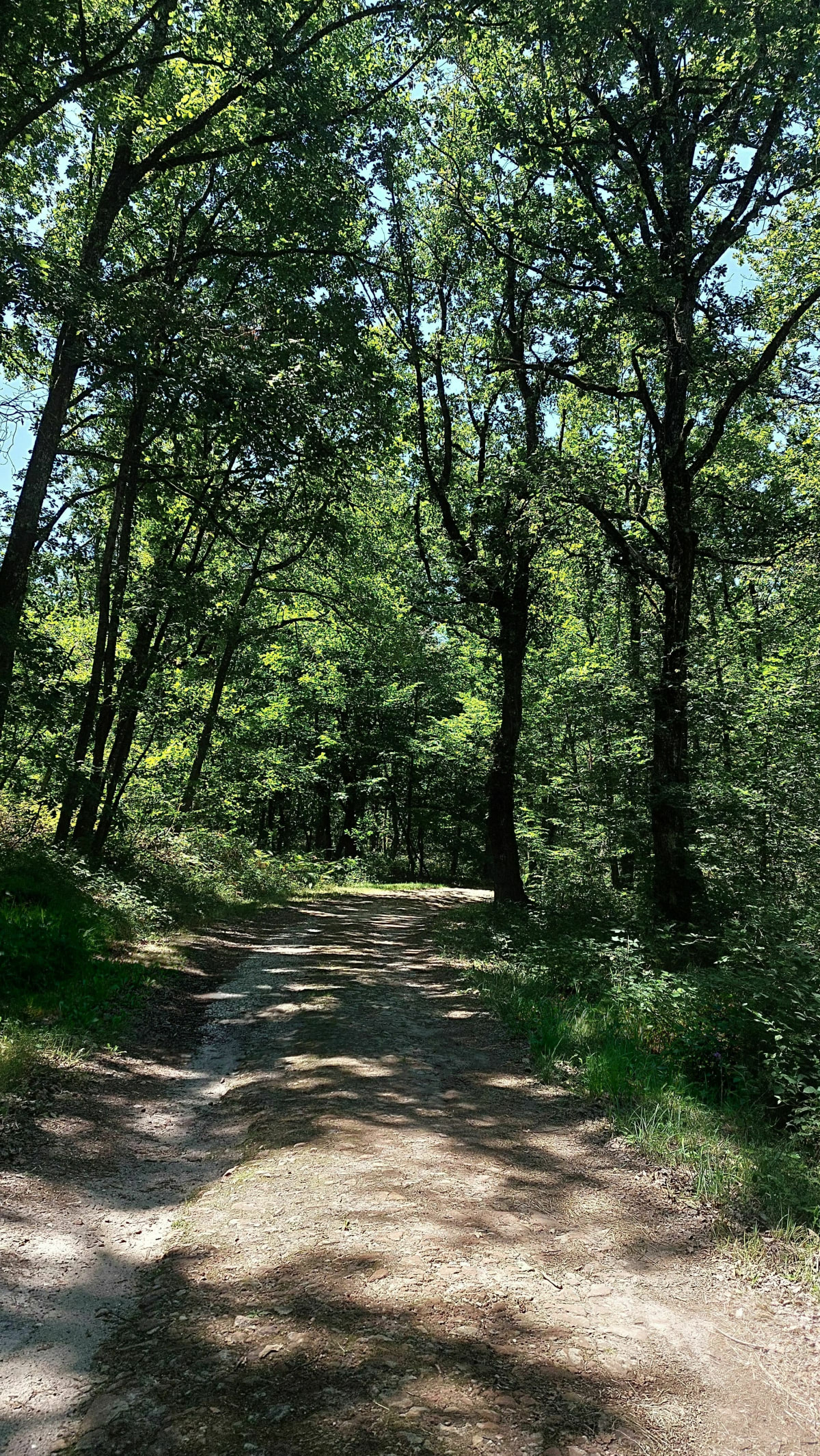 Sortie de 5km - Rosnay