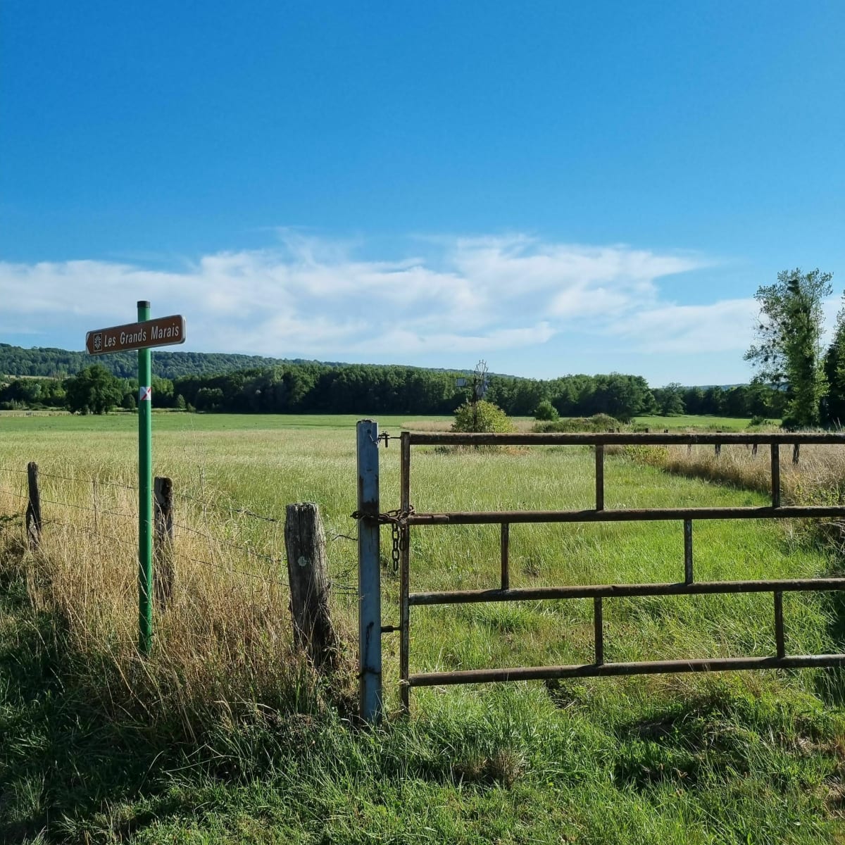 Chemin des Marais - Chézeaux