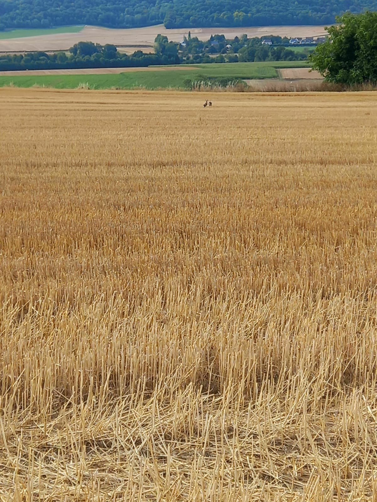 Balade Mortefontaine à Laboissière-en-Thelle - Laboissière-en-Thelle