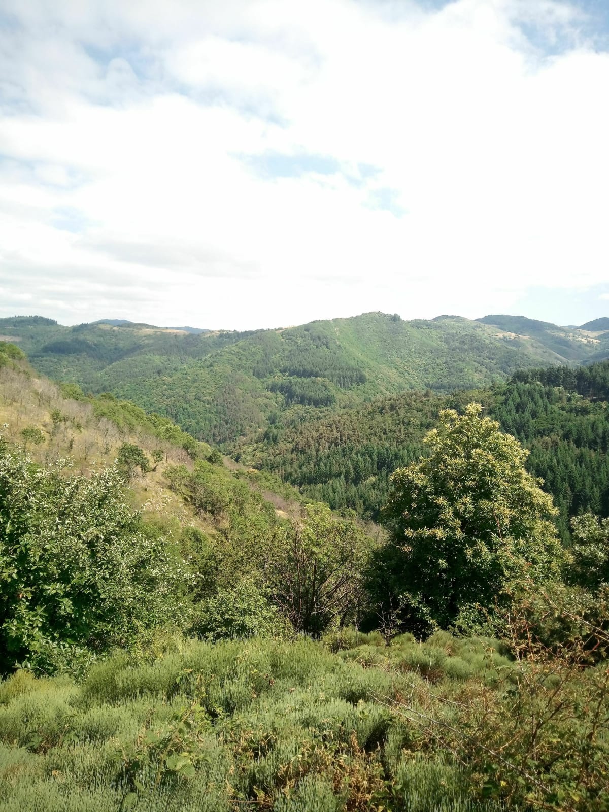 Soutron à deux eau - Arcens