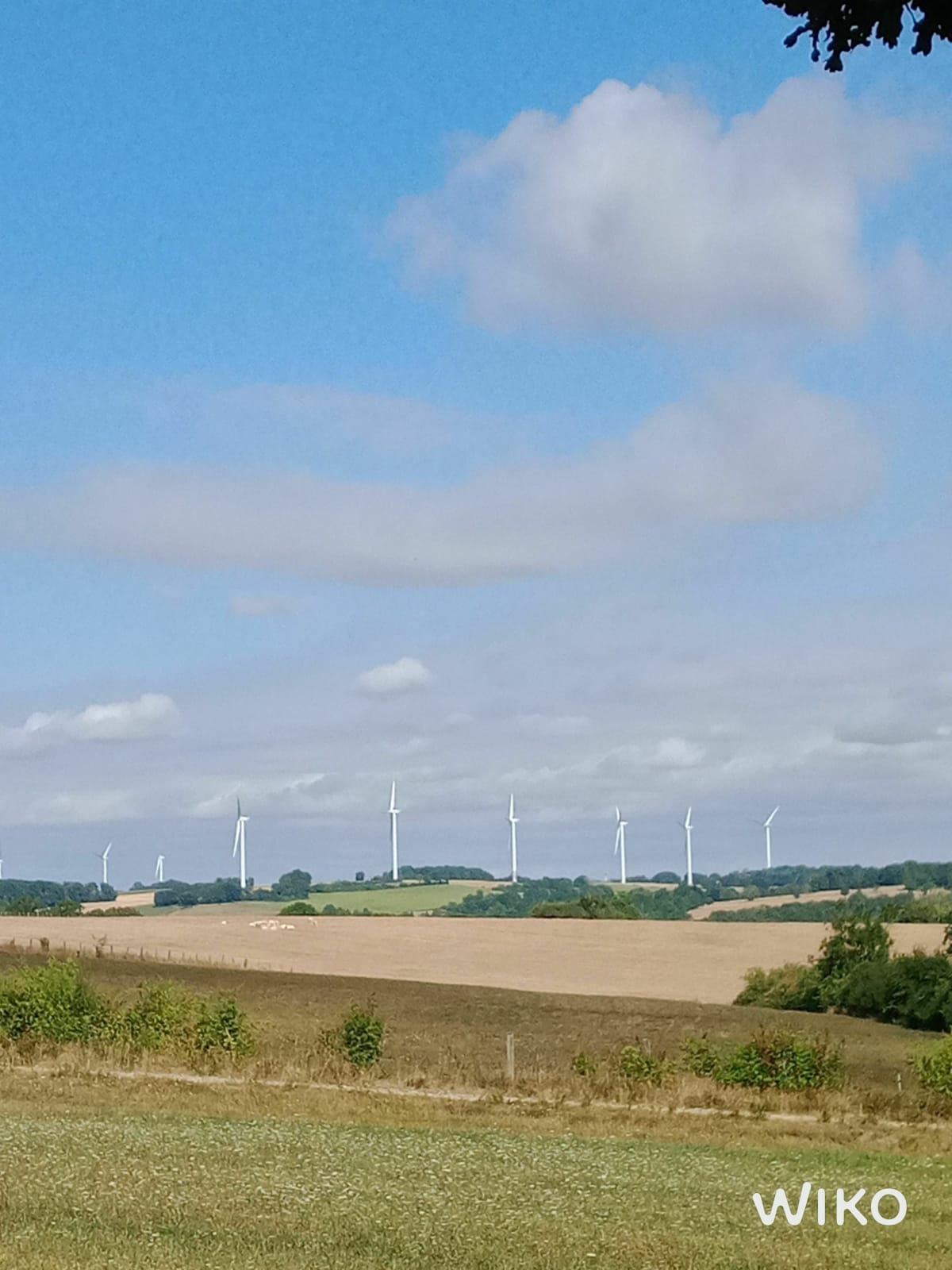 Belle balade au milieu de la campagne - Tanconville