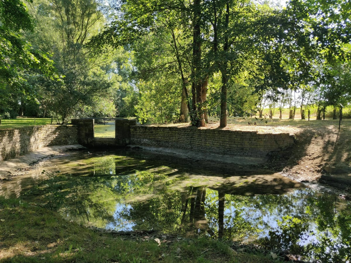 Les Prairies de Pacouinay - Bois Riveau - Rives-d'Autise