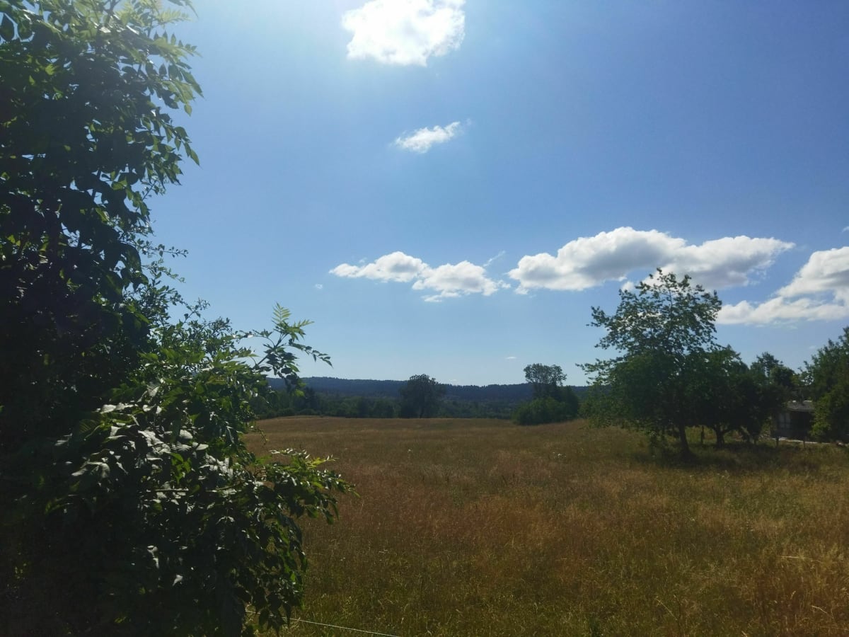Balade au dessus de Champdor - Champdor-Corcelles