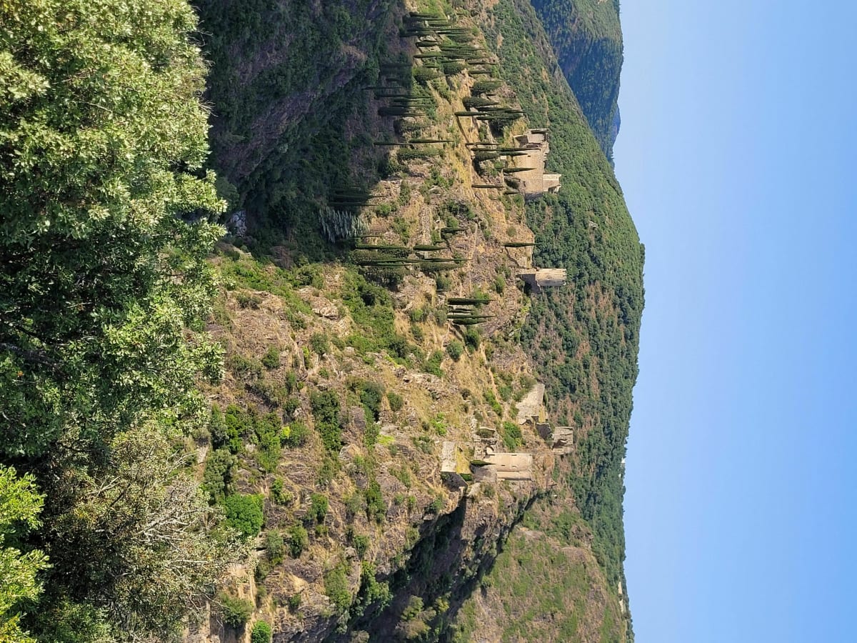 Grande boucle dans la campagne Audoise - Roullens