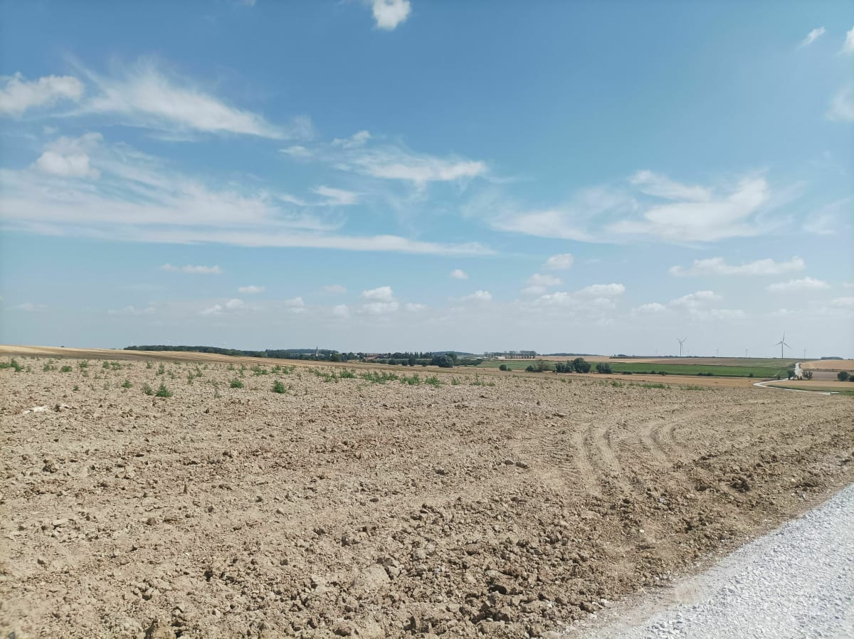 Promenade de santé - Croisilles