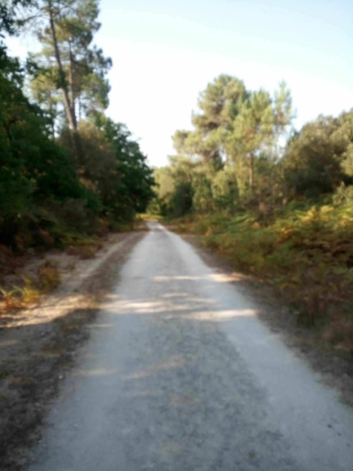 Les communes autour d'Etaules - Étaules