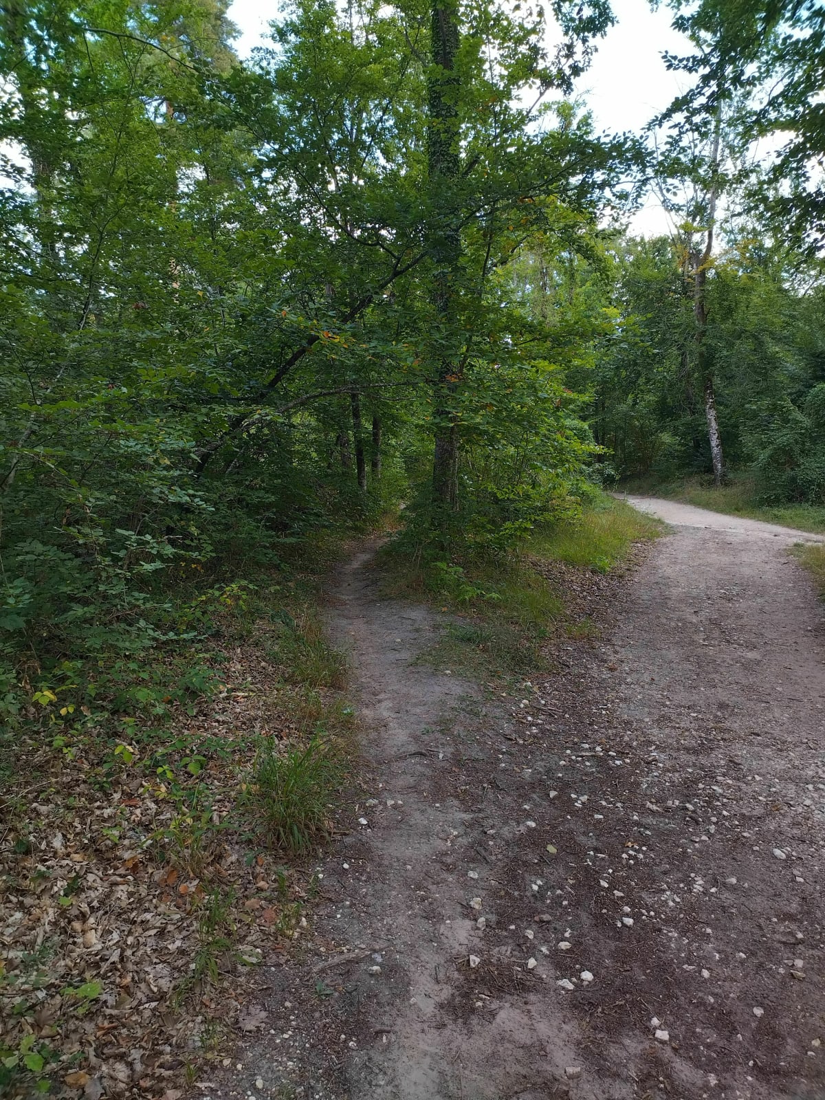 Sortie VTT autour de Blandy par Vaux-le-Vicomte - Loïc