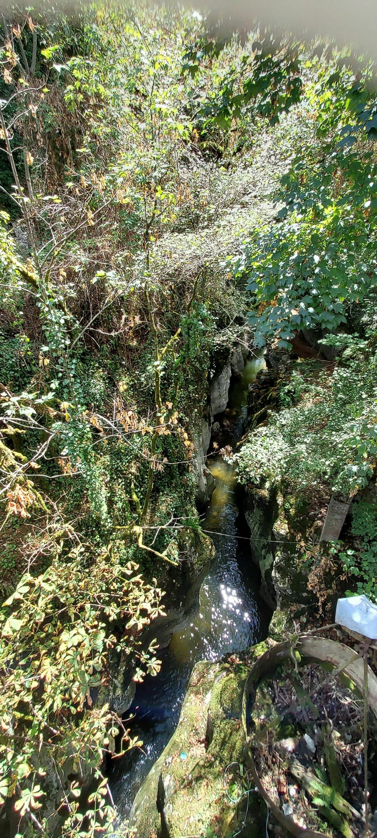 Wandeling in de Sierroz-kloven - Grésy sur Aix