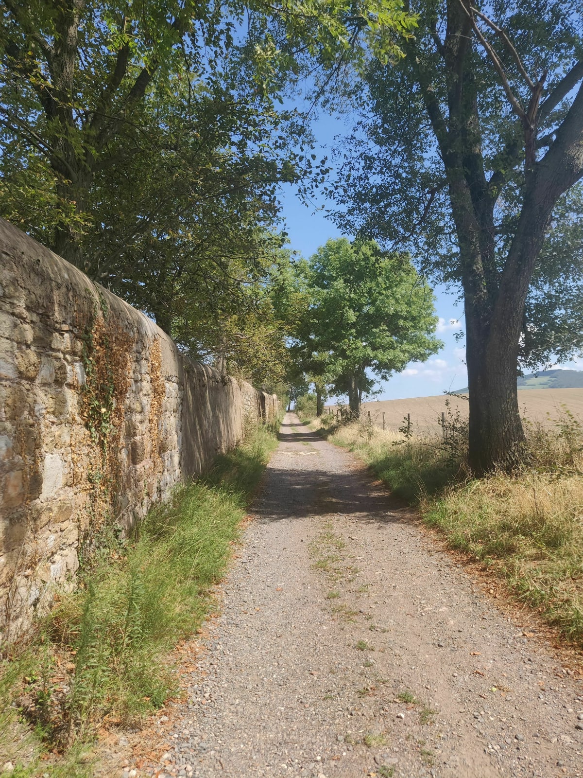 Aux alentours de St Jean Bonnefonds - Saint-Jean-Bonnefonds
