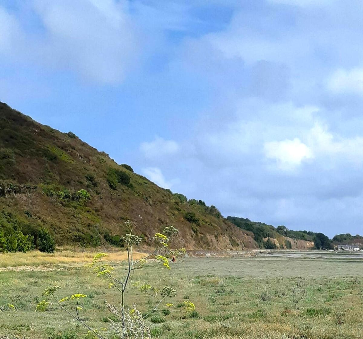 En direction du Cap Fréhel et la pointe de la Latte - Saint-Cast-le-Guildo