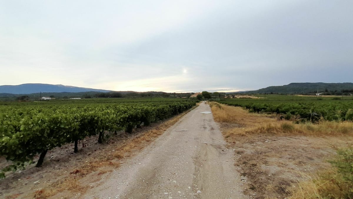 Petite ballade autour de Mazan - Mazan