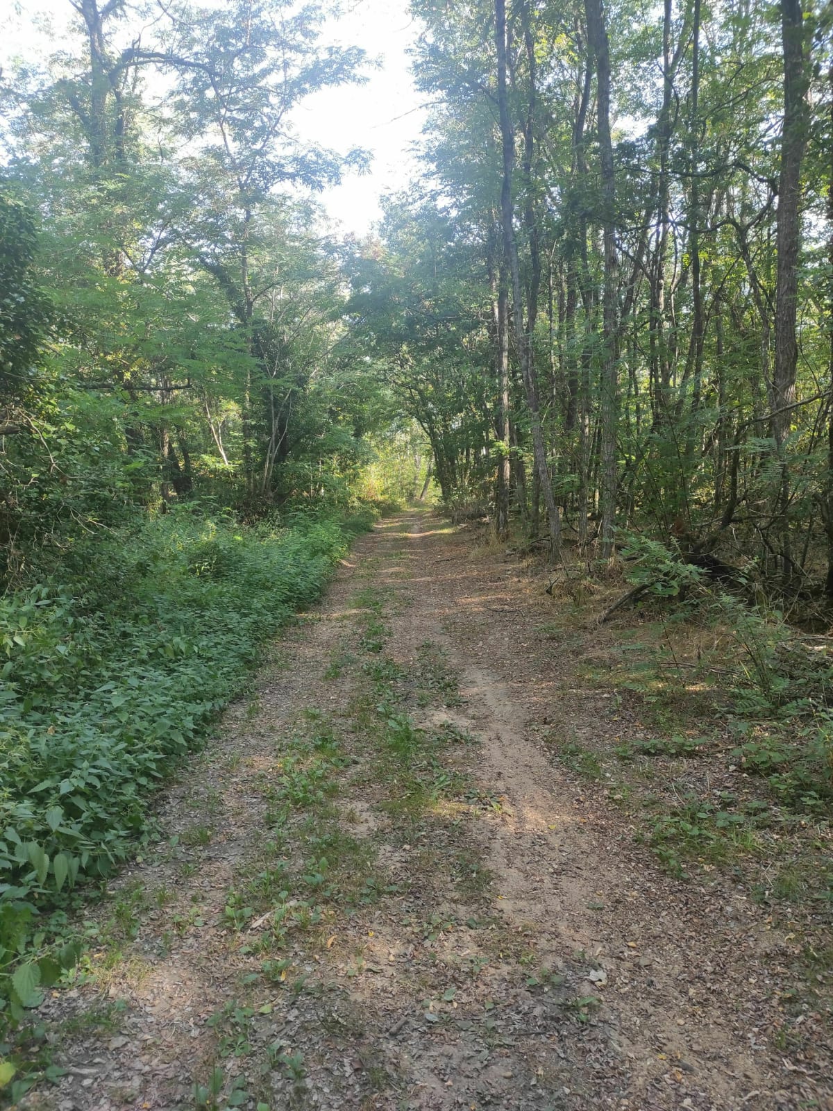 Balade VTT avec mon fils - Angé