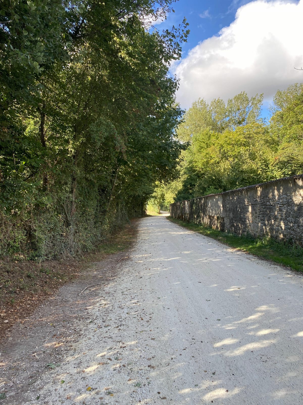 Sortie du chemin blanc au bord de Charente - Saintes