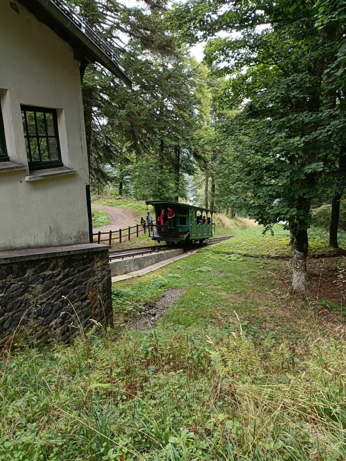 Parcours sylvatorium des capucines au Mont Dore - Mont-Dore