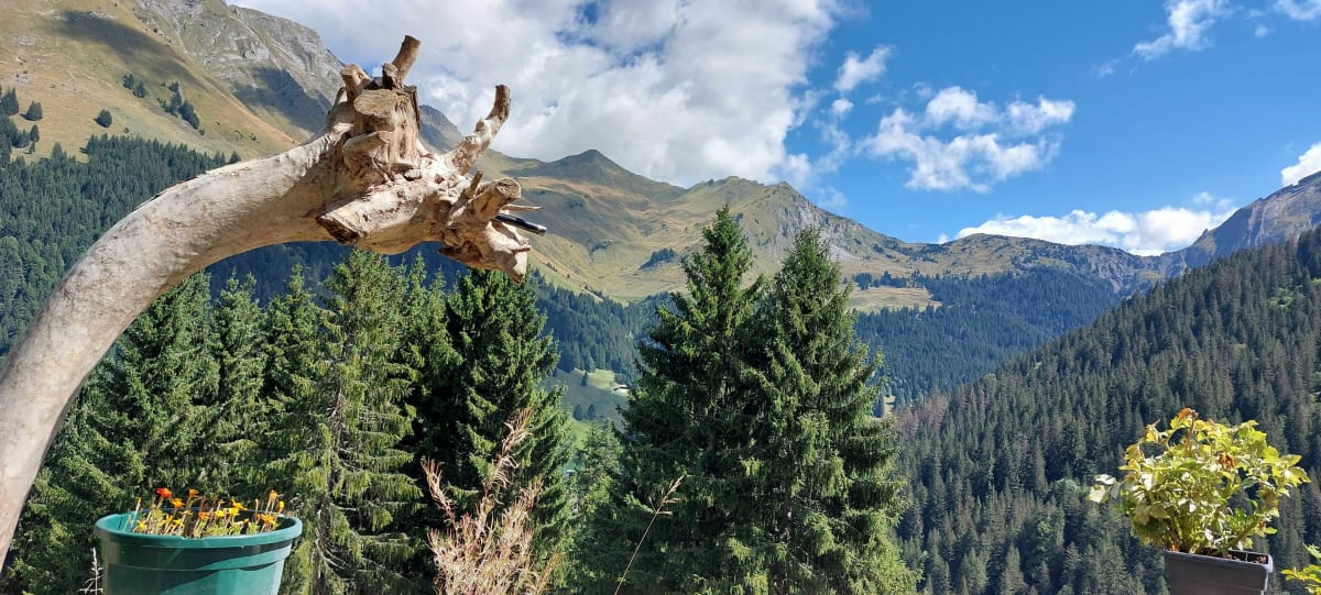 Promenade aux Bauds - Morzine