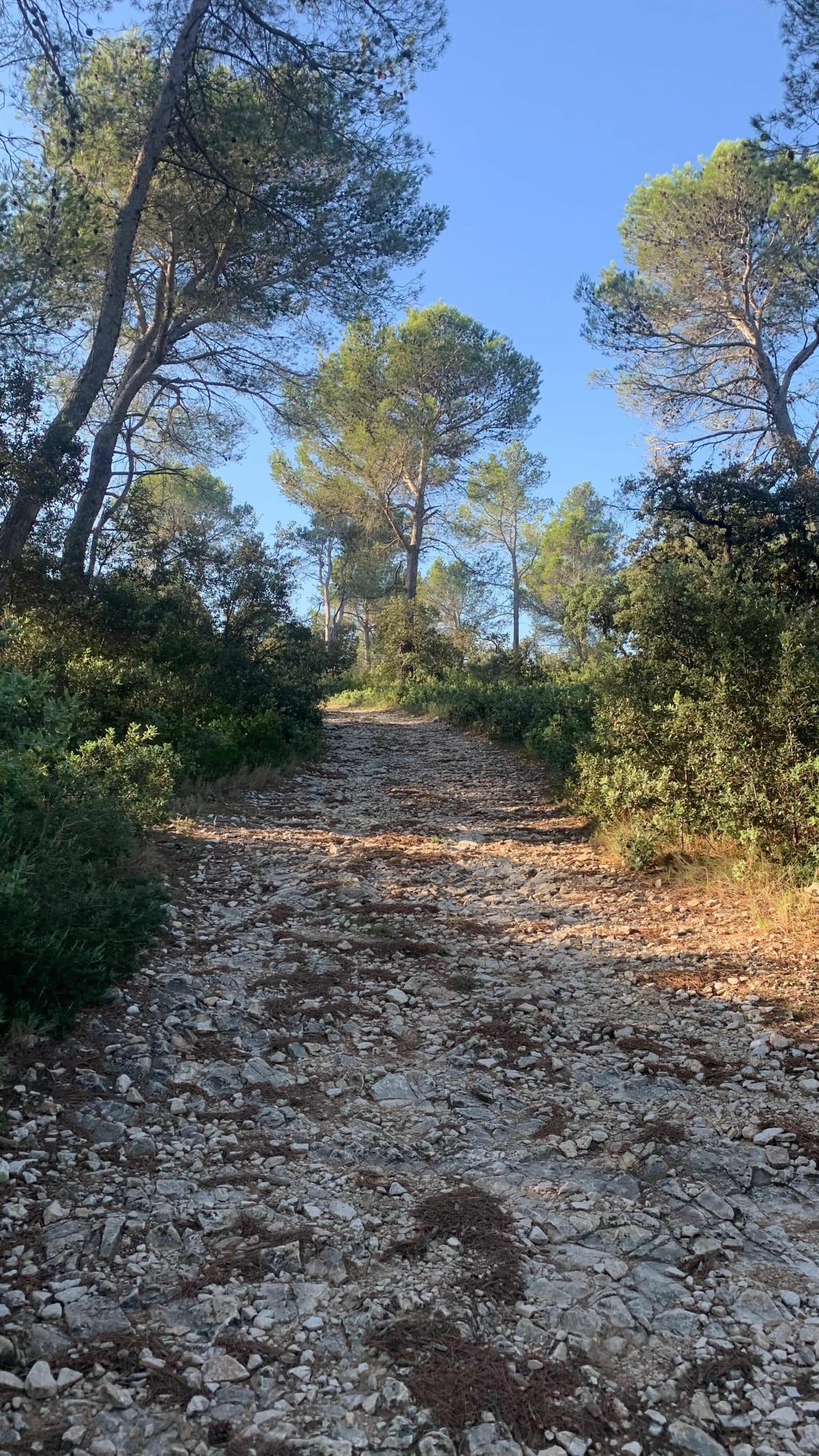 Promenade du côté de Fontvieille et ses sentiers - Fontvieille