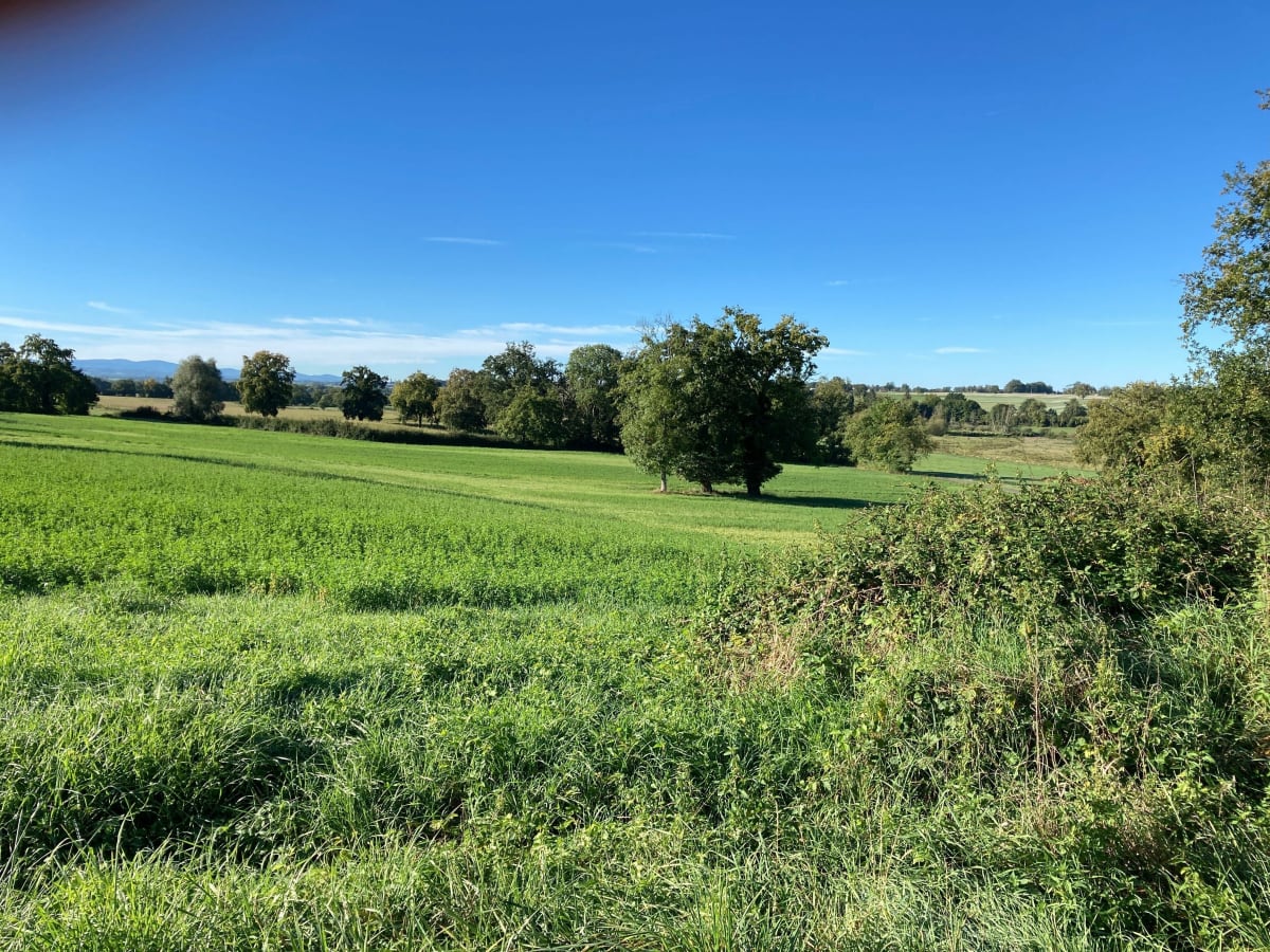 En pleine campagne… - Lapalisse