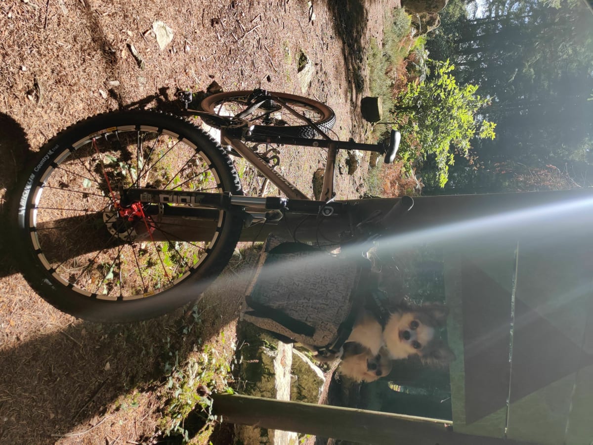 Montrollet à VTT Familliale - Montrollet