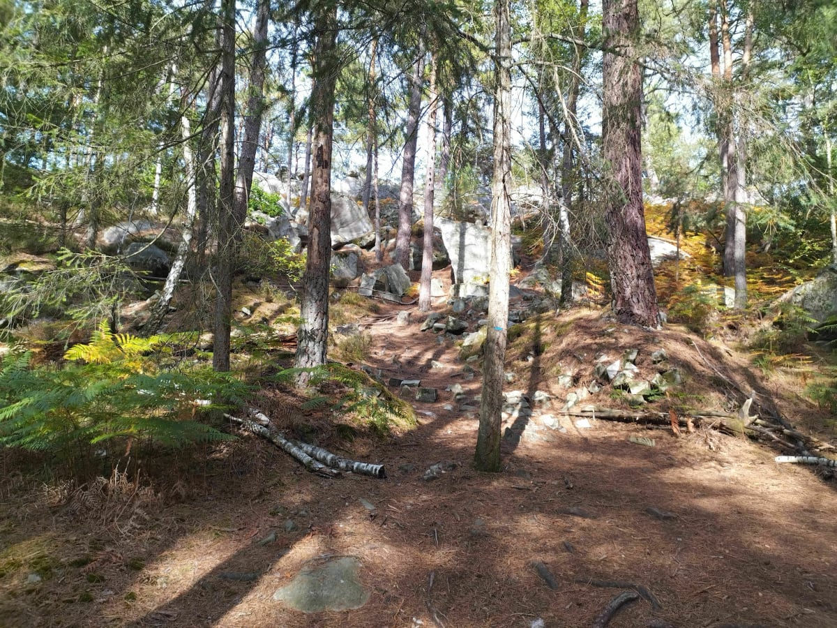 Croix du Grand Maître - Fontainebleau